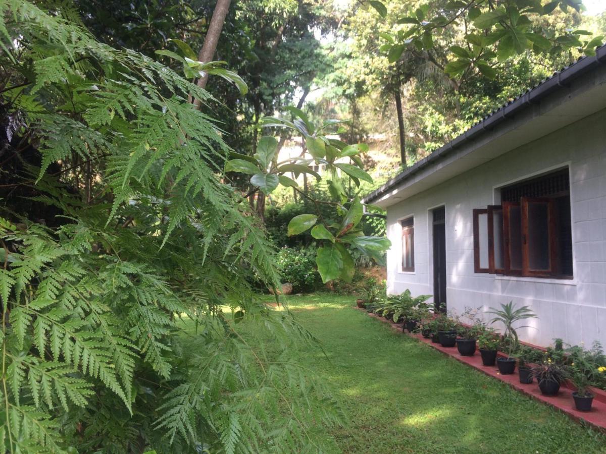 Green Agua Lodge Belihuloya Exterior foto